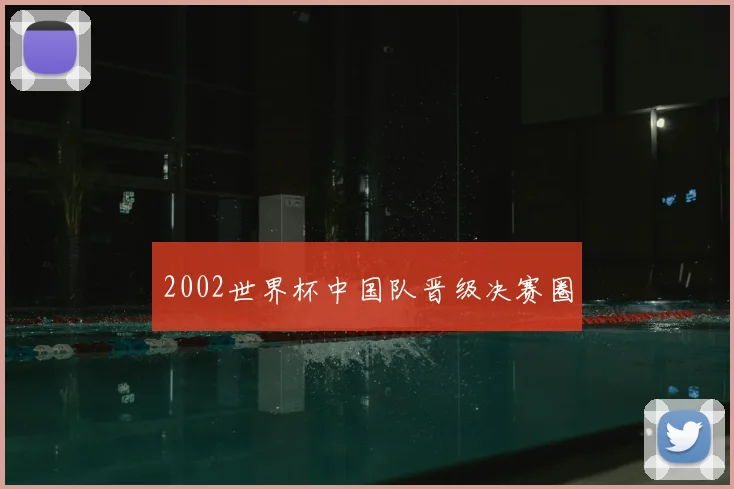 2002世界杯中国队晋级决赛圈